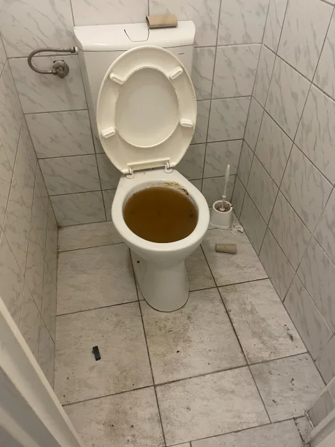 Eldugult WC – a víz nem folyik le, kiszállás előtt